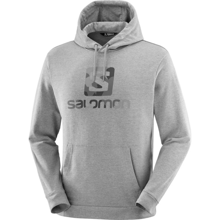 Sudadera Con Capucha Salomon Outlife Logo Summer Heather Mujer Grises | MX TYOH368